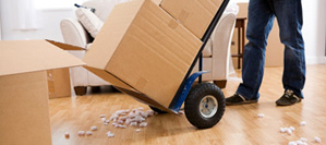 removal-services